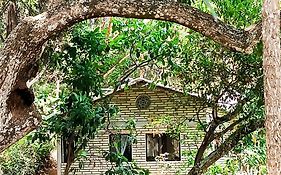 Eden Los Abuelos 2 - Casa Privada En Minca Nature